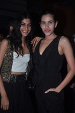at Apicus lounge launch in Mumbai on 29th March 2012 (85).JPG