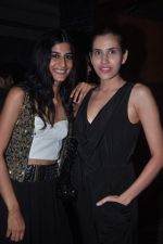 at Apicus lounge launch in Mumbai on 29th March 2012 (86).JPG