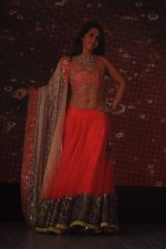 Krishika Lulla at Manish Malhotra - Lilavati_s Save & Empower Girl Child show in Mumbai on 11th April 2012 400 (218).JPG