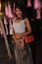 Sameera Reddy at The Carnival Theme party in Harem, Garden of Five Senses on 12th April 2012.JPG