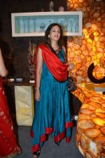 at Elegant launch hosted by Czech tourism in Raghuvanshi Mills, Mumbai on 16th April 2012 (69).JPG