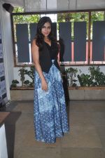 Nisha Jamwal at Elle DIvo event in Vinoteca on 26th April 2012 (56).JPG