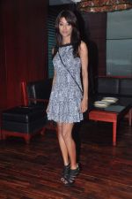 at Hate Story film success bash in Grillopis on 25th April 2012 (13).JPG