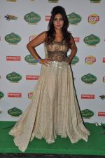 Nisha Jamwal at Nisha Jamwal fashion show for IPL in Marriott, Pune on 9th May 2012 (7).JPG