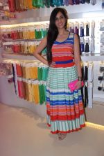 Nishka Lulla at The Hab store launch in Mumbai on 9th May 2012 (73).JPG