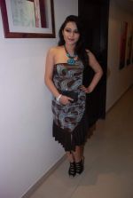 at Hotel Grace Residency launch in 4 Bungalows on 11th May 2012 (29).JPG
