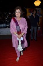  at The Best Exotic Marigold Hotel premiere in NFDC, Mumbai on 16th May 2012 (15).JPG