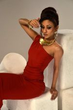 Vedita Pratap Singh photo shoot on 24th May 2012 (46).JPG