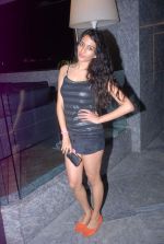 at Architect Manav Goyal cover success party in Four Seasons on 24th May 2012 (170).JPG