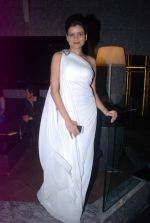 at Architect Manav Goyal cover success party in Four Seasons on 24th May 2012 (73).JPG