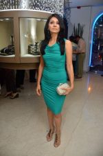 at the diamond boutique GREECE launch by Zoya in Mumbai Store on 30th May 2012 (162).JPG