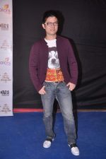Meiyang Chang at Indian Telly Awards 2012 in Mumbai on 31st May 2012 (43).JPG