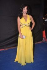 Sofia Hayat at Indian Telly Awards 2012 in Mumbai on 31st May 2012 (220).JPG