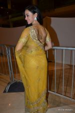 at SIIMA Awards Red carpet at Dubai World Trade Centre on 22nd June 2012 (348).JPG