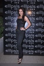 at Ellipsis launch hosted by Arjun Khanna in Mumbai on 6th July 2012 (152).JPG