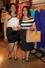 Kiran Bawa at Aminder Madaan & Rishika Agarwala preview in Fuel Store, Mumbai on 23rd July 2012 (57).JPG