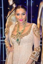 Diandra Soares at Tarun Tahiliani Couture Exposition in Mehboob on 7th Aug 2012 (223).JPG