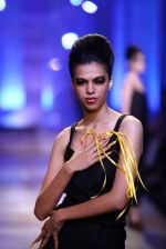 Model walk the ramp for Kallol Datta, Pankaj & Nidhi grand finale show at Lakme Fashion Week 2012 Day 5 in Grand Hyatt on 7th Aug 2012 (2).JPG