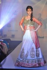 Model walks for Manali Jagtap Show at Global Magazine- Sultan Ahmed tribute fashion show on 15th Aug 2012 (252).JPG