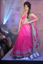 Model walks for Manali Jagtap Show at Global Magazine- Sultan Ahmed tribute fashion show on 15th Aug 2012 (262).JPG