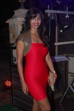 Sandhya Shetty at Nofel Izz album launch in Grillopolis on 17th Aug 2012 (80).JPG