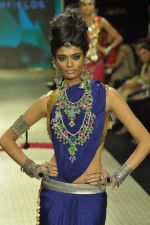 Model walks the ramp for Amrapali Jewels Pvt Ltd at IIJW Day 1 on 19th Aug 2012 (11).JPG
