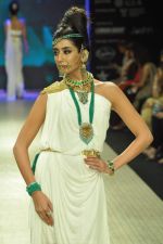 Model walks the ramp for Amrapali Jewels Pvt Ltd at IIJW Day 1 on 19th Aug 2012 (28).JPG