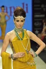 Model walks the ramp for Amrapali Jewels Pvt Ltd at IIJW Day 1 on 19th Aug 2012 (34).JPG