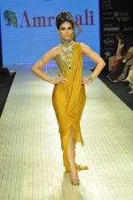 Model walks the ramp for Amrapali Jewels Pvt Ltd at IIJW Day 1 on 19th Aug 2012 (37).JPG