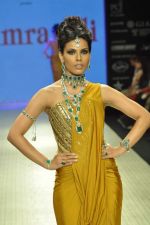 Model walks the ramp for Amrapali Jewels Pvt Ltd at IIJW Day 1 on 19th Aug 2012 (38).JPG