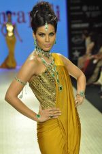Model walks the ramp for Amrapali Jewels Pvt Ltd at IIJW Day 1 on 19th Aug 2012 (40).JPG