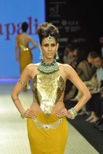 Model walks the ramp for Amrapali Jewels Pvt Ltd at IIJW Day 1 on 19th Aug 2012 (41).JPG