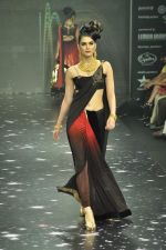 Model walks the ramp for Dwarkadas Chandumai Show at IIJW Day 1 on 19th Aug 2012 (35).JPG