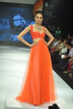 Model walks the ramp for Dynamic International Show at IIJW Day 1 on 19th Aug 2012  (3).JPG