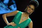 Model walks the ramp for Dynamic International Show at IIJW Day 1 on 19th Aug 2012  (44).JPG