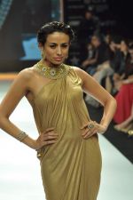 Model walks the ramp for Gehna Jewellers Show at IIJW Day 1 on 19th Aug 2012  (11).JPG