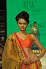 Model walks the ramp for Agni Jewels Show at IIJW Day 2 on 20th Aug 2012 (44).JPG