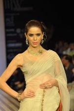 Model walks the ramp for Anmol Jewels Show at IIJW Day 2 on 20th Aug 2012 (28).JPG