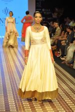 Model walks the ramp for Anmol Jewels Show at IIJW Day 2 on 20th Aug 2012 (34).JPG