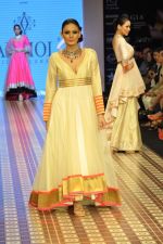 Model walks the ramp for Anmol Jewels Show at IIJW Day 2 on 20th Aug 2012 (38).JPG