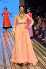 Model walks the ramp for Anmol Jewels Show at IIJW Day 2 on 20th Aug 2012 (45).JPG