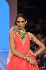 Model walks the ramp for Anmol Jewels Show at IIJW Day 2 on 20th Aug 2012 (55).JPG
