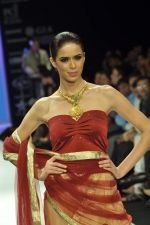 Model walks the ramp for Gia Jewels Show at IIJW Day 2 on 20th Aug 2012 (104).JPG
