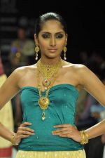 Model walks the ramp for Gia Jewels Show at IIJW Day 2 on 20th Aug 2012 (62).JPG