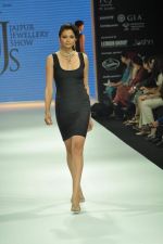 Model walks the ramp for Jaipur Jewels Show at IIJW Day 2 on 20th Aug 2012 (20).JPG