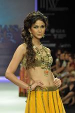 Model walks the ramp for Vijay Golecha Jewels Show at IIJW Day 2 on 20th Aug 2012 (12).JPG