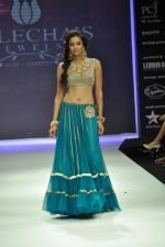 Model walks the ramp for Vijay Golecha Jewels Show at IIJW Day 2 on 20th Aug 2012 (17).JPG