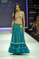 Model walks the ramp for Vijay Golecha Jewels Show at IIJW Day 2 on 20th Aug 2012 (18).JPG
