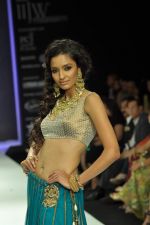 Model walks the ramp for Vijay Golecha Jewels Show at IIJW Day 2 on 20th Aug 2012 (19).JPG