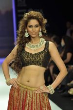 Model walks the ramp for Vijay Golecha Jewels Show at IIJW Day 2 on 20th Aug 2012 (5).JPG